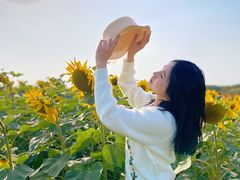 -映月湖中央公园