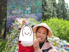 -优护优家Ucare月嫂育儿嫂陪伴师(静安店)