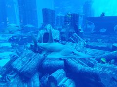 -亚特兰蒂斯水世界冒险乐园