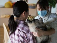 -Husky Go! 哈士奇体验馆·宠物咖啡厅狗咖