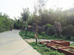 -田心森林公园