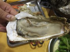-蚝专家(北滘店)