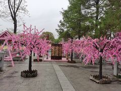 -株洲方特欢乐世界