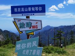 -朱雀国家森林公园