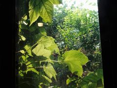 -斯多格书乡(北京大学畅春园店)