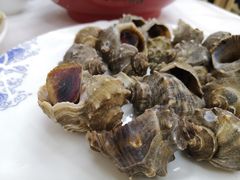清蒸小海螺-北戴河庆山饭店·海鲜砂锅粥(北戴河黑石路店)