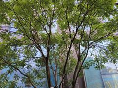 -朗丽兹餐厅
