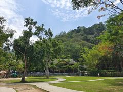 -野象谷景区