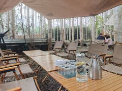 大堂-桉树林A coffee 森林餐厅(三圣乡店)