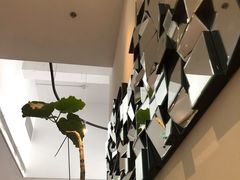 -gaga(深圳南山益田假日广场店)