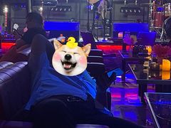 -TORA音乐酒馆