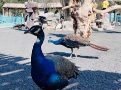 -水上乐园·欢乐世界