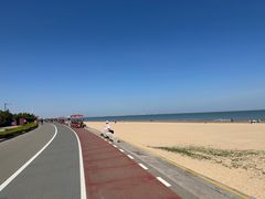 -日照海滨国家森林公园