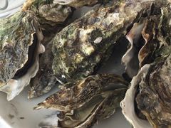 水煮生蚝-渔民船说·北塘海鲜·天津菜·海肠捞饭(北塘古镇店)