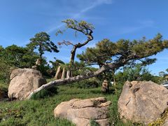 -罗红摄影艺术馆