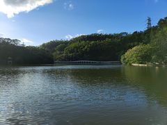 -深圳仙湖植物园