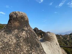 -大岭沟猕猴桃谷风景区