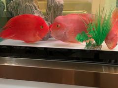 -爱齿尔口腔美学种植中心(永清院)
