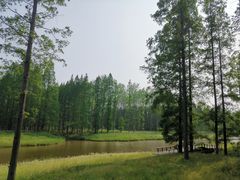 -黄海国家森林公园