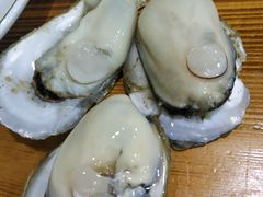 -大富蚝乌东哥饭店·石锅鱼杂·柠檬鸭(革新路店)