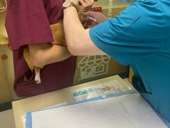 -艾贝尔宠物诊疗