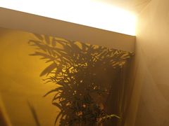 -宁采臣Sleep·采耳·SPA放松馆(湖里万达店)