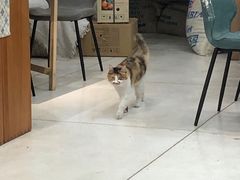 -玫瑰咖啡(中山六路店)