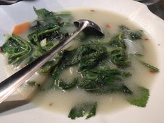 上汤桑叶-沙田鸽王(解放路店)