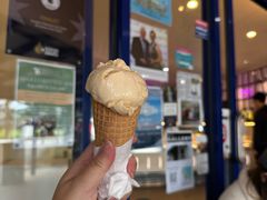 -Dooley's Premium Ice Cream