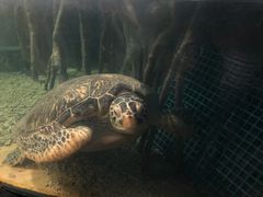 -苏州海洋馆
