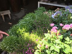 -玉泉综合市场(天山北路店)