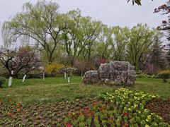 -宝鸡植物园