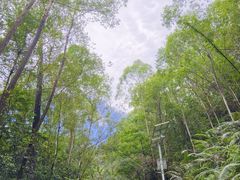 -滴水岩森林公园