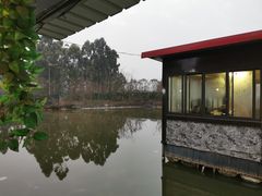 -老杨砂锅鱼庄