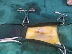 -佳雯宠物医院·皮肤科·内外科(春晓路分院)