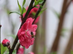 -乌山风景区