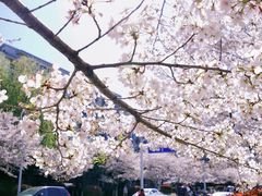 -江南大学(蠡湖校区)