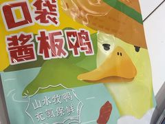 -舜华临武鸭·湖南零食特产(三王街店)