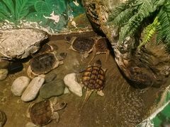 -乌鲁木齐海洋馆
