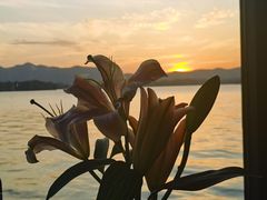 -柳莺湖上·湖景餐厅·江南菜(西湖店)