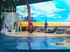 -三亚海昌梦幻海洋不夜城