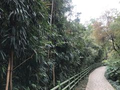 -菊花台公园