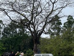 -南沙蒲洲花园