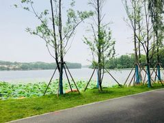 -雅和生态渔庄·宜城锅巴饭(龙灵山公园店)