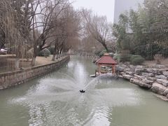 -同里湖度假村(二期店)