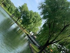 -上海佘山世茂艾美酒店