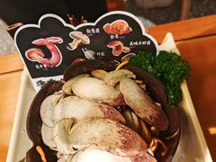 -季季山•云南野生菌火锅(上海首店)