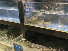 -陆府酒楼·衡阳味道(红湘店)