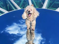 -天津盘山风景名胜区