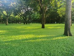 -晓港公园